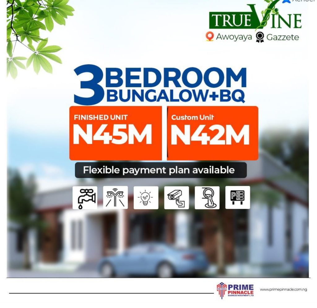 WhatsApp Image 2024-03-31 at 11.29.46 PM